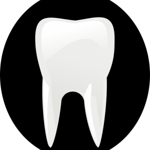 tooth-146674_1280