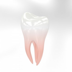 Poszukujemy Lekarza Dentysty do współpracy w Bielsko-Biała (woj. śląskie)