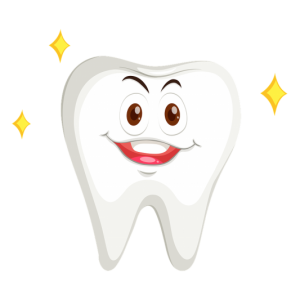 tooth-3414719_1280