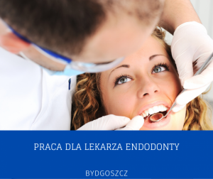 Szukam Lekarza Endodonty