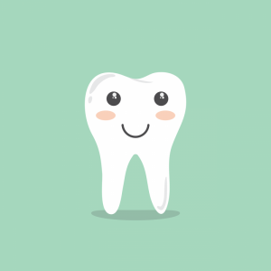 teeth-1670434_1280